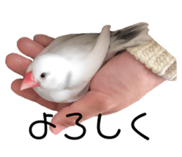 634505672