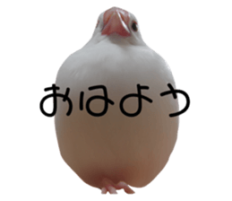 634505677