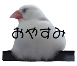 634505678