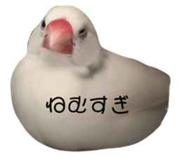 634505679