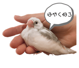 634505680