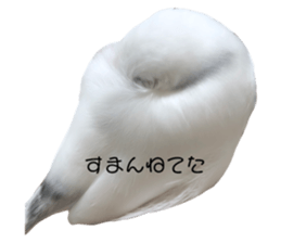 634505681
