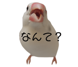 634505691