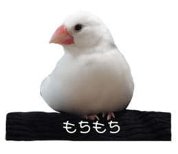 634505695
