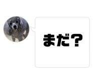634506015