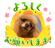 634506024