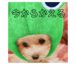 634506633