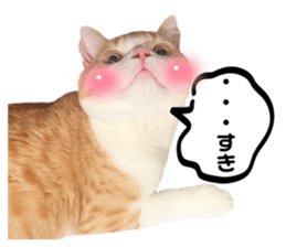 634525564