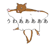 634536989