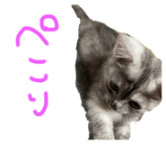 634547736