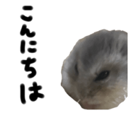634547739