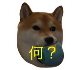 634555638