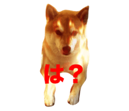 634555639
