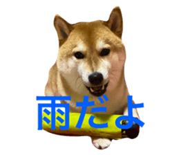 634555641