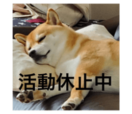 634555644