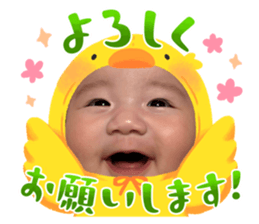 634556604