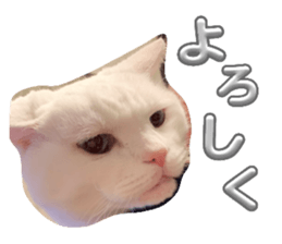 634586552