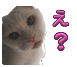 634586556