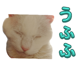 634586557