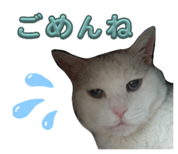 634586561