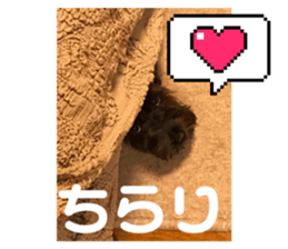 634621386