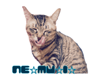 634635354