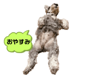 634636743