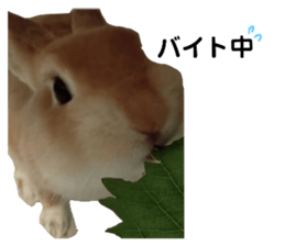 634656412