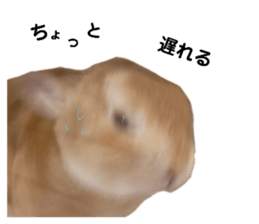 634656419