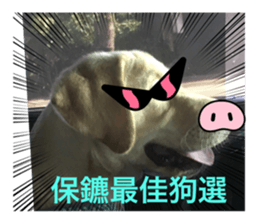 634658050