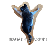 634675190