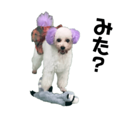 634715431