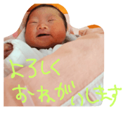 634718225