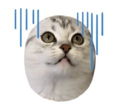634724563