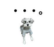 634727489