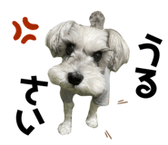 634727497