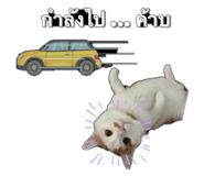 634748866