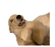 634760750