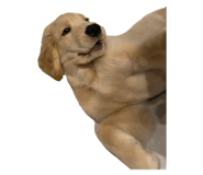 634760752