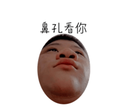 634761126