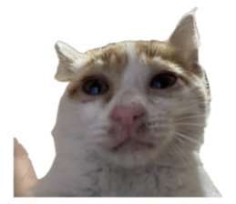 634857920
