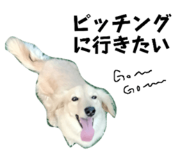 634866031