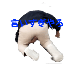 634866989