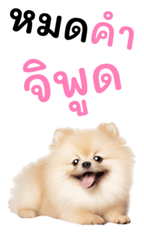 634909992