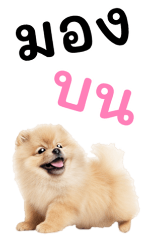 634909995