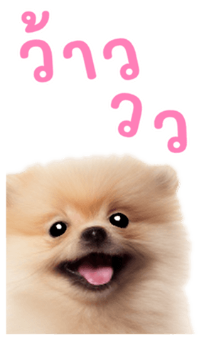 634909997