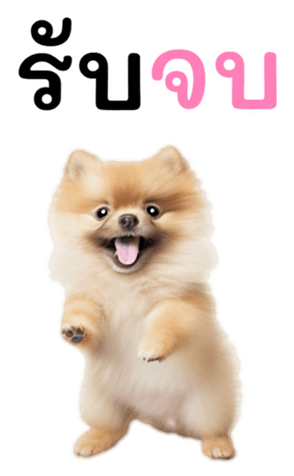 634910012