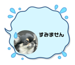 634925556