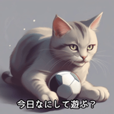 634929247