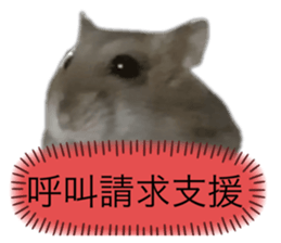 634949282